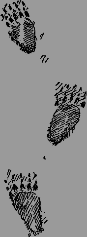Всемирный следопыт 1929 № 08 _30_str6071.png