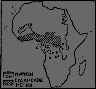 Всемирный следопыт 1929 № 08 _52_galereya1.png