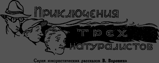 Всемирный следопыт 1929 № 09 _34_priklyucheniya.png