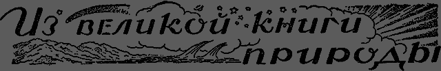 Всемирный следопыт 1929 № 09 _42_izknigi.png
