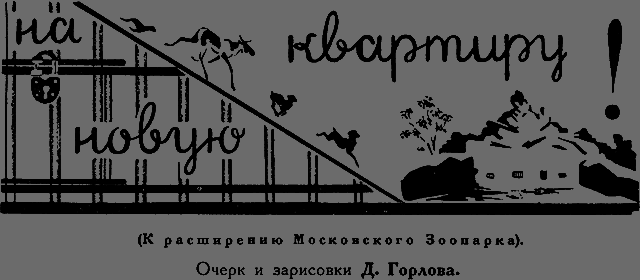 Всемирный следопыт 1926 № 12 _33_kvartira.png