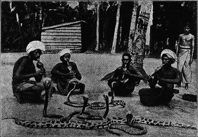 Всемирный следопыт 1928 № 03 _29_str213.png