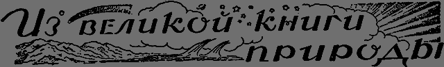 Всемирный следопыт 1928 № 03 _52_izknigi.png