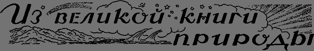 Всемирный следопыт 1926 № 06 _51_izknigi.png