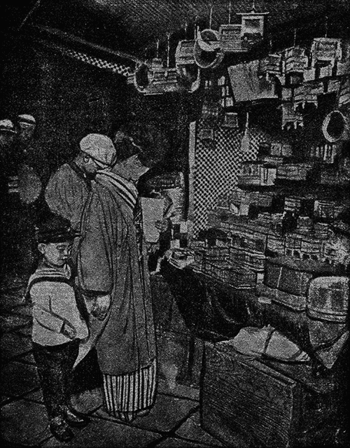 Всемирный следопыт 1926 № 05 _38_vmestoptichek.png