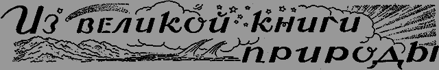 Всемирный следопыт 1926 № 05 _60_priroda.png