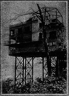 Всемирный следопыт 1926 № 05 _65_str801.png