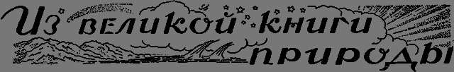 Всемирный следопыт 1926 № 04 _58_izknigi.png