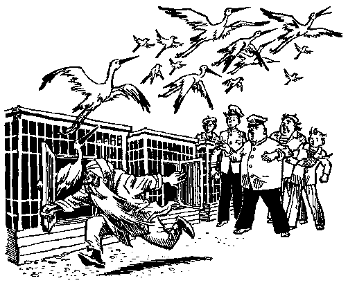 Мореплавания Солнышкина pic_66.png
