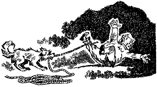 Мореплавания Солнышкина pic_76.png