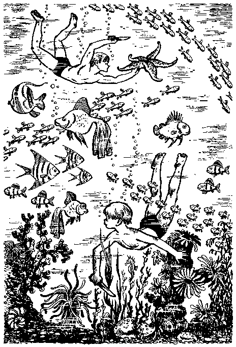 Мореплавания Солнышкина pic_83.png