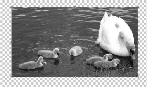 Фотоприколы с помощью Photoshop _260.jpg