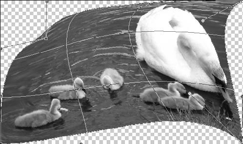 Фотоприколы с помощью Photoshop _262.jpg