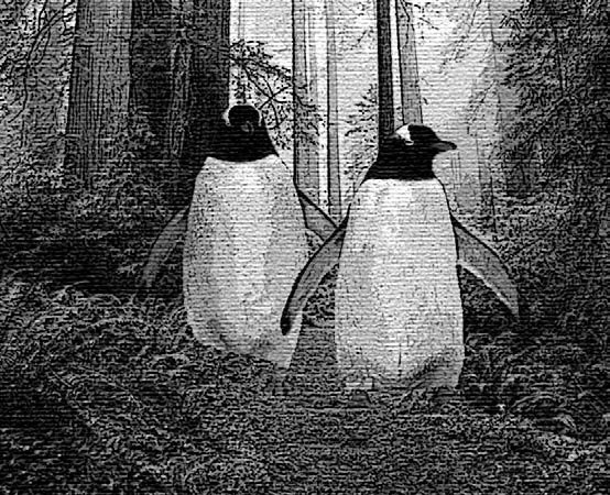 Фотоприколы с помощью Photoshop _365.jpg