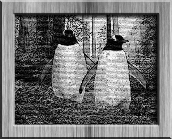 Фотоприколы с помощью Photoshop _370.jpg