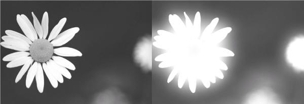 Photoshop. Лучшие фильтры i_144.jpg