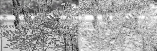 Photoshop. Лучшие фильтры i_206.jpg
