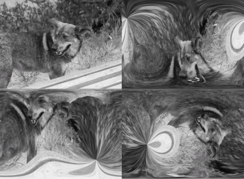 Photoshop. Лучшие фильтры i_274.jpg