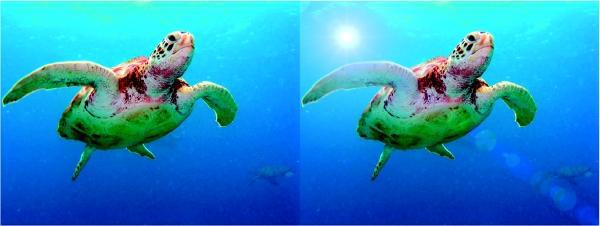 Photoshop. Лучшие фильтры i_326.jpg