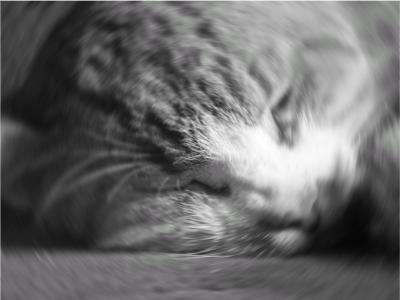 Photoshop. Лучшие фильтры i_341.jpg
