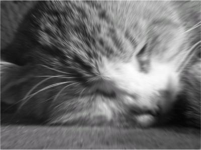 Photoshop. Лучшие фильтры i_342.jpg