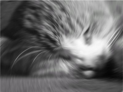 Photoshop. Лучшие фильтры i_343.jpg