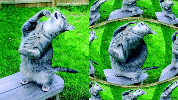 Photoshop. Лучшие фильтры i_406.jpg