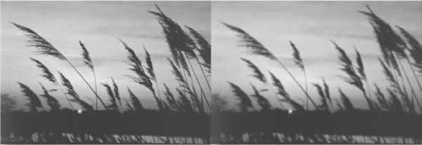 Photoshop. Лучшие фильтры i_423.jpg