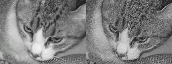 Photoshop. Лучшие фильтры i_425.jpg