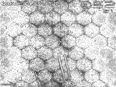 Компьютер на флешке. Работающие Windows, Linux, Офис и 150 самых полезных программ у вас в кармане img_137.png