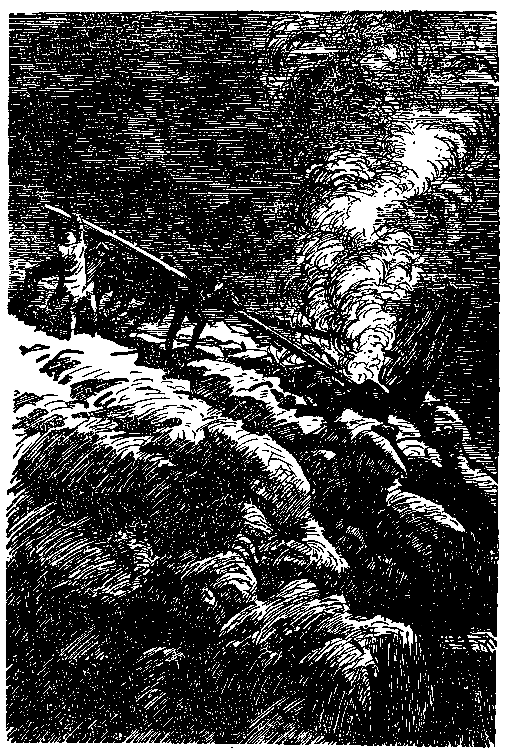 Дети капитана Гранта (илл. П. Луганского) pic_42.png