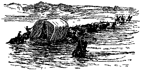 Дети капитана Гранта (илл. П. Луганского) pic_24.png