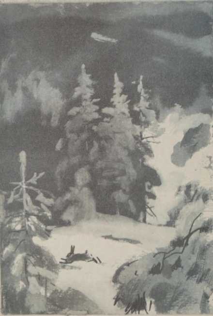 i_006.jpg