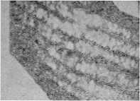 i_007.jpg
