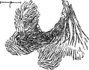 i_016.jpg