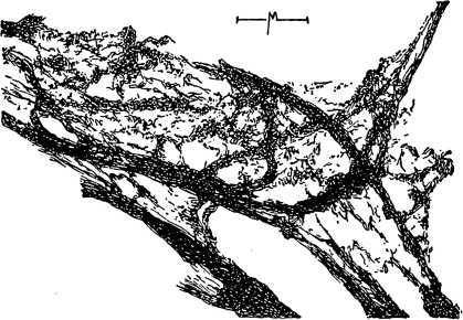 i_017.jpg
