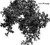 i_018.jpg