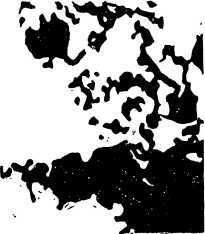 i_020.jpg