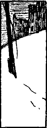 Богомолец i_007.png