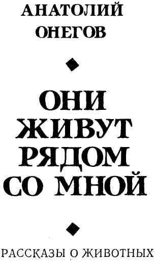 Они живут рядом со мной (сборник) img_2.jpeg