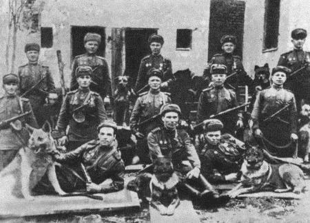 Солдат по кличке Рекс i_008.jpg