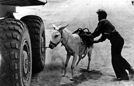 Полное собрание сочинений. Том 11. Друзья из берлоги _80.jpg