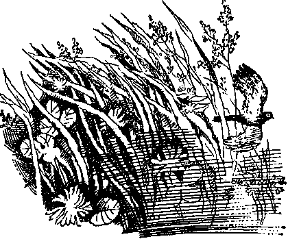 Лезвие бритвы (др. изд.) pic_3.png