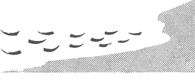 Девушка на берегу pic038h.png