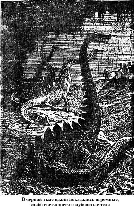 Тайна двух океанов (илл. А.Васина и Б.Маркевича) image020nadpweb.jpg