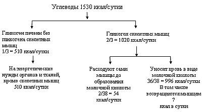 Вегетаринство (Загадки и уроки, польза и вред) _02.jpg