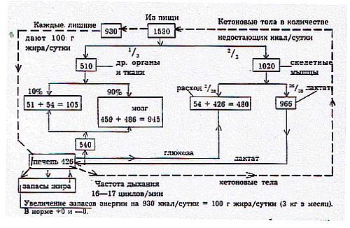 Вегетаринство (Загадки и уроки, польза и вред) _05.jpg
