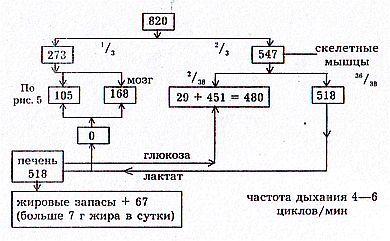 Вегетаринство (Загадки и уроки, польза и вред) _06.jpg