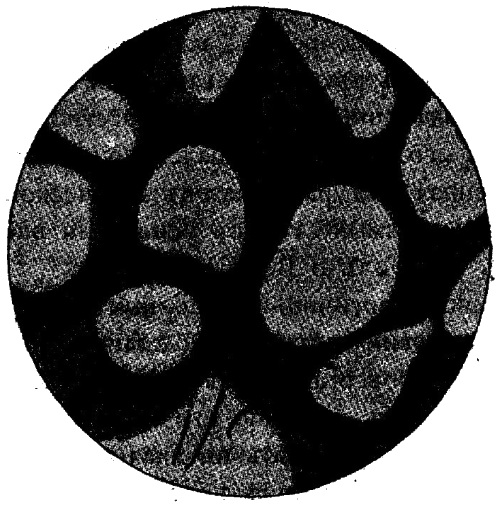 По волнам эфира (Астрономический роман) i_011.png