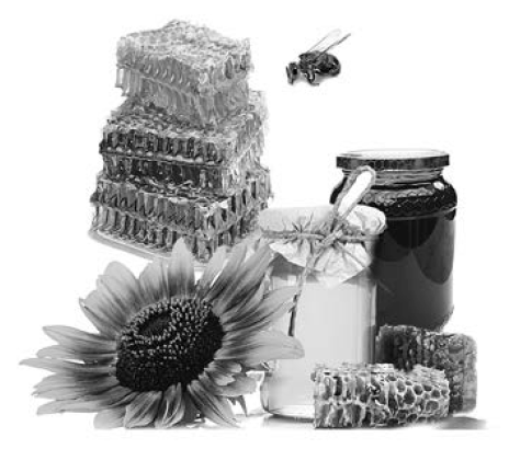 Целительная сила меда i_001.png